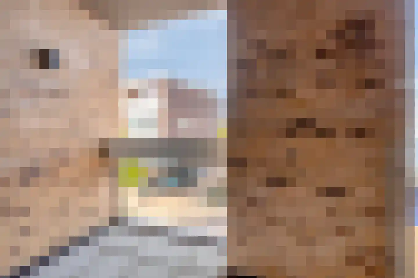 Diderna 3 a Dieren thumbnail 8