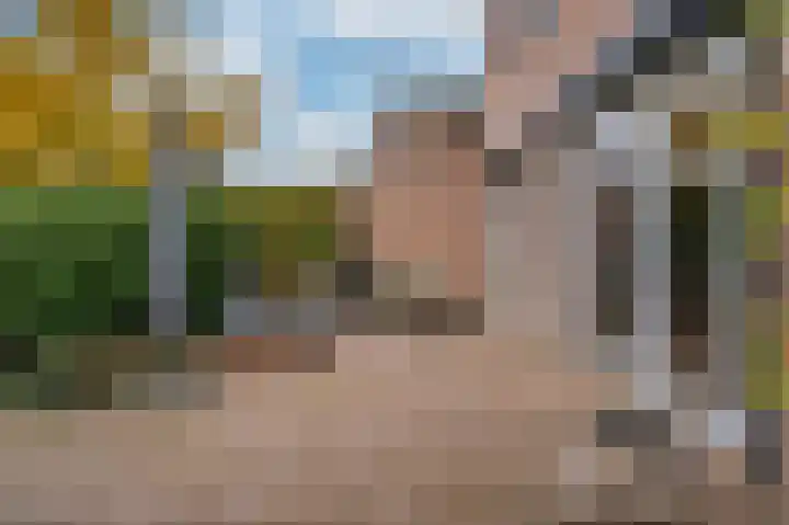 Diderotstraat 37 Venlo thumbnail 33