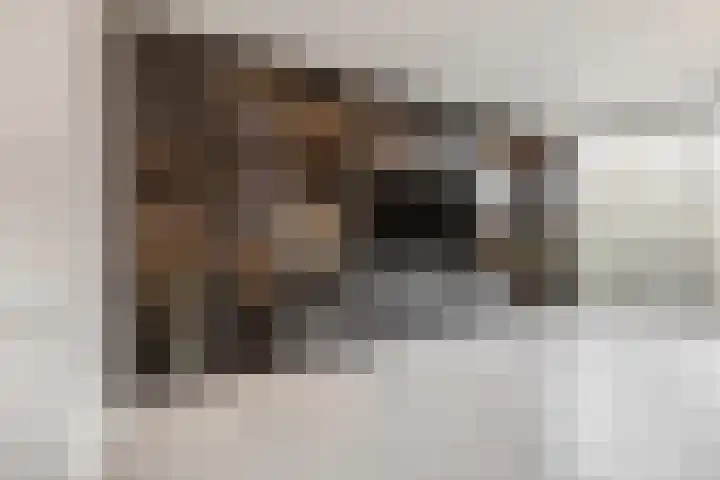 Didi Rooslaan 12 Ede thumbnail 10