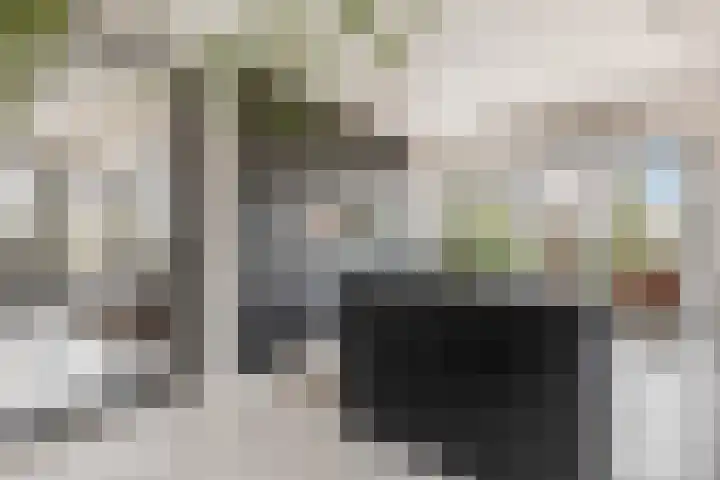 Didi Rooslaan 12 Ede thumbnail 11
