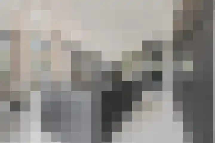 Didi Rooslaan 12 Ede thumbnail 12
