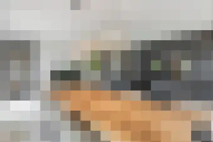 Didi Rooslaan 12 Ede thumbnail 15