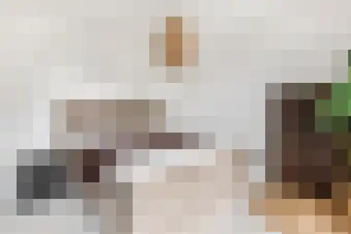 Didi Rooslaan 12 Ede thumbnail 29