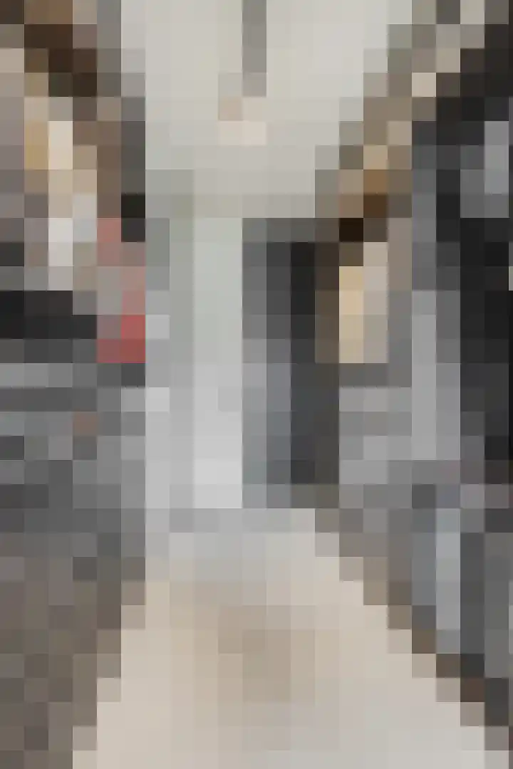 Didi Rooslaan 12 Ede thumbnail 37