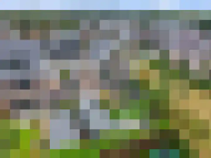 Didi Rooslaan 12 Ede thumbnail 4