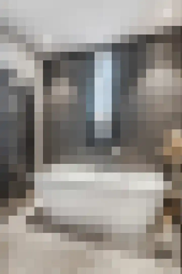 Didi Rooslaan 12 Ede thumbnail 41