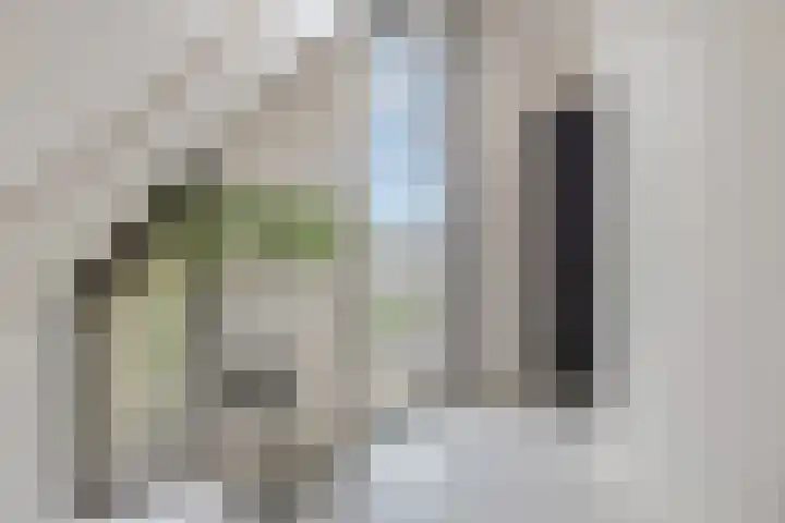 Didi Rooslaan 12 Ede thumbnail 49