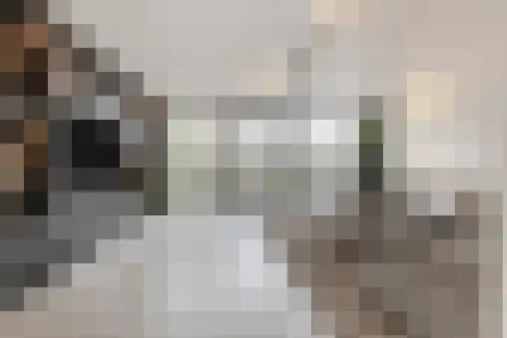 Didi Rooslaan 12 Ede thumbnail 6