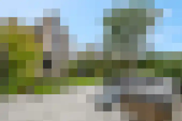 Didi Rooslaan 12 Ede thumbnail 60