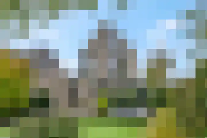 Didi Rooslaan 12 Ede thumbnail 62