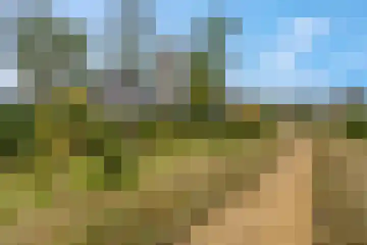 Didi Rooslaan 12 Ede thumbnail 68