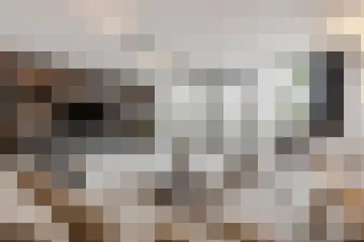 Didi Rooslaan 12 Ede thumbnail 7