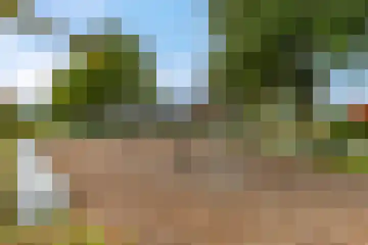 Didi Rooslaan 12 Ede thumbnail 70