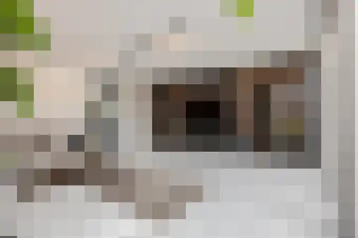 Didi Rooslaan 12 Ede thumbnail 9