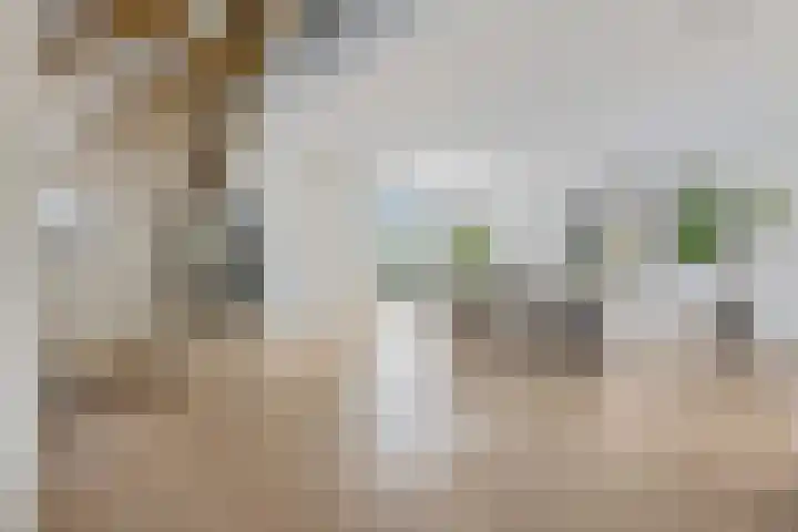 Didi Rooslaan 34 Ede thumbnail 12