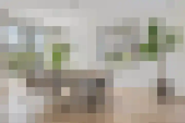 Didi Rooslaan 34 Ede thumbnail 13