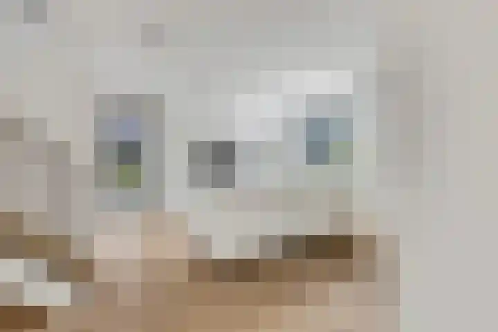 Didi Rooslaan 34 Ede thumbnail 17