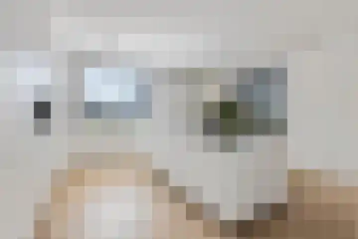 Didi Rooslaan 34 Ede thumbnail 18