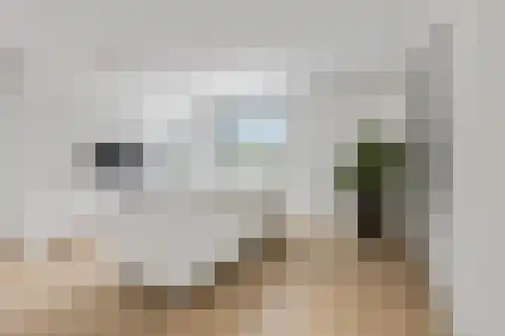 Didi Rooslaan 34 Ede thumbnail 5