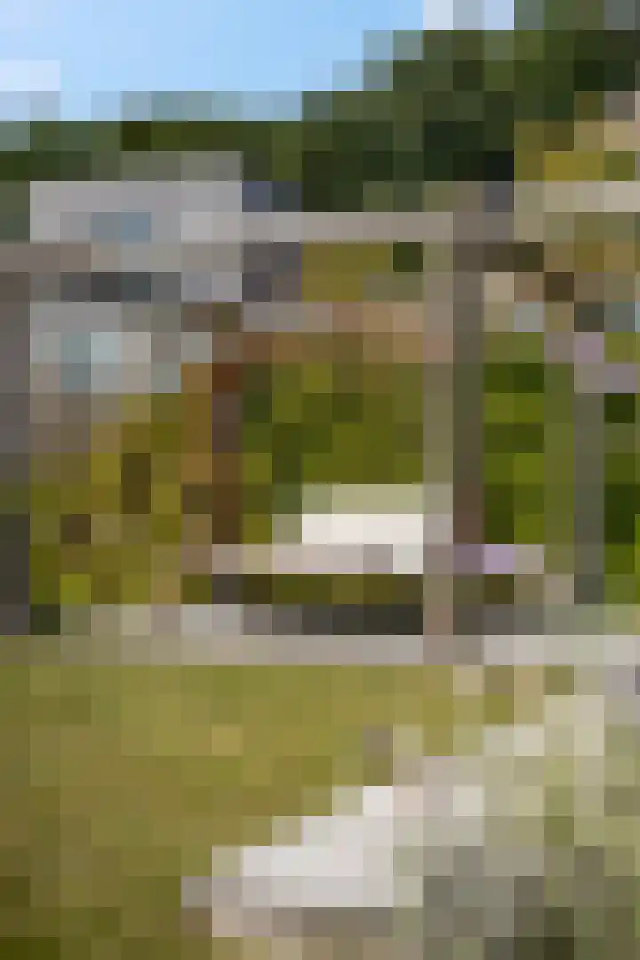 Didi Rooslaan 34 Ede thumbnail 56