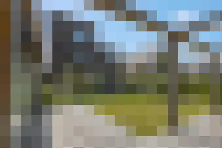 Didi Rooslaan 34 Ede thumbnail 60