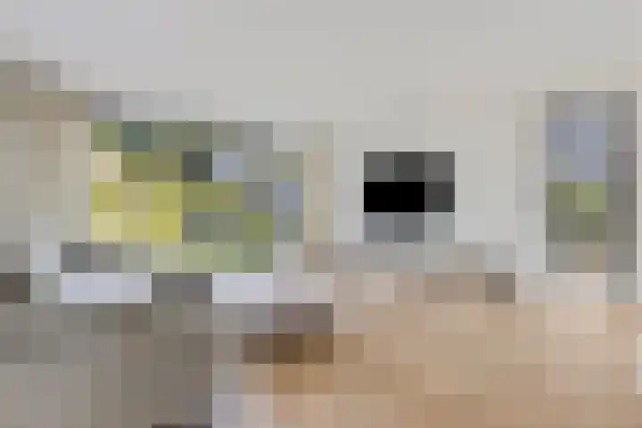 Didi Rooslaan 34 Ede thumbnail 7