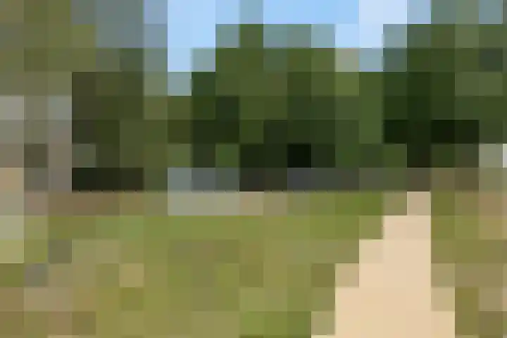 Didi Rooslaan 34 Ede thumbnail 75