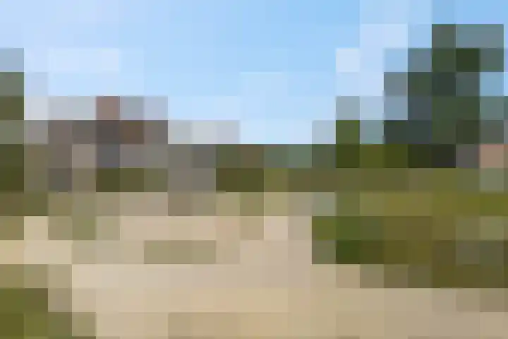 Didi Rooslaan 34 Ede thumbnail 76