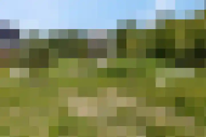 Didi Rooslaan 34 Ede thumbnail 77