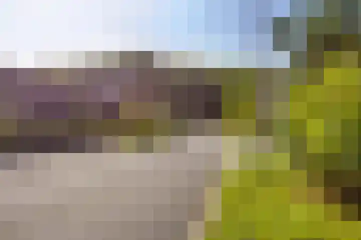 Didi Rooslaan 51 Ede thumbnail 41