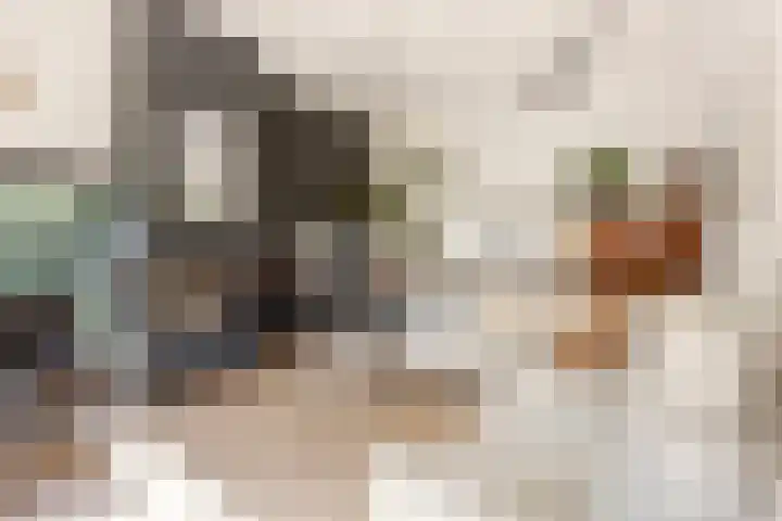 Didi Rooslaan 51 Ede thumbnail 6