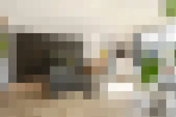 Didi Rooslaan 51 Ede thumbnail 8