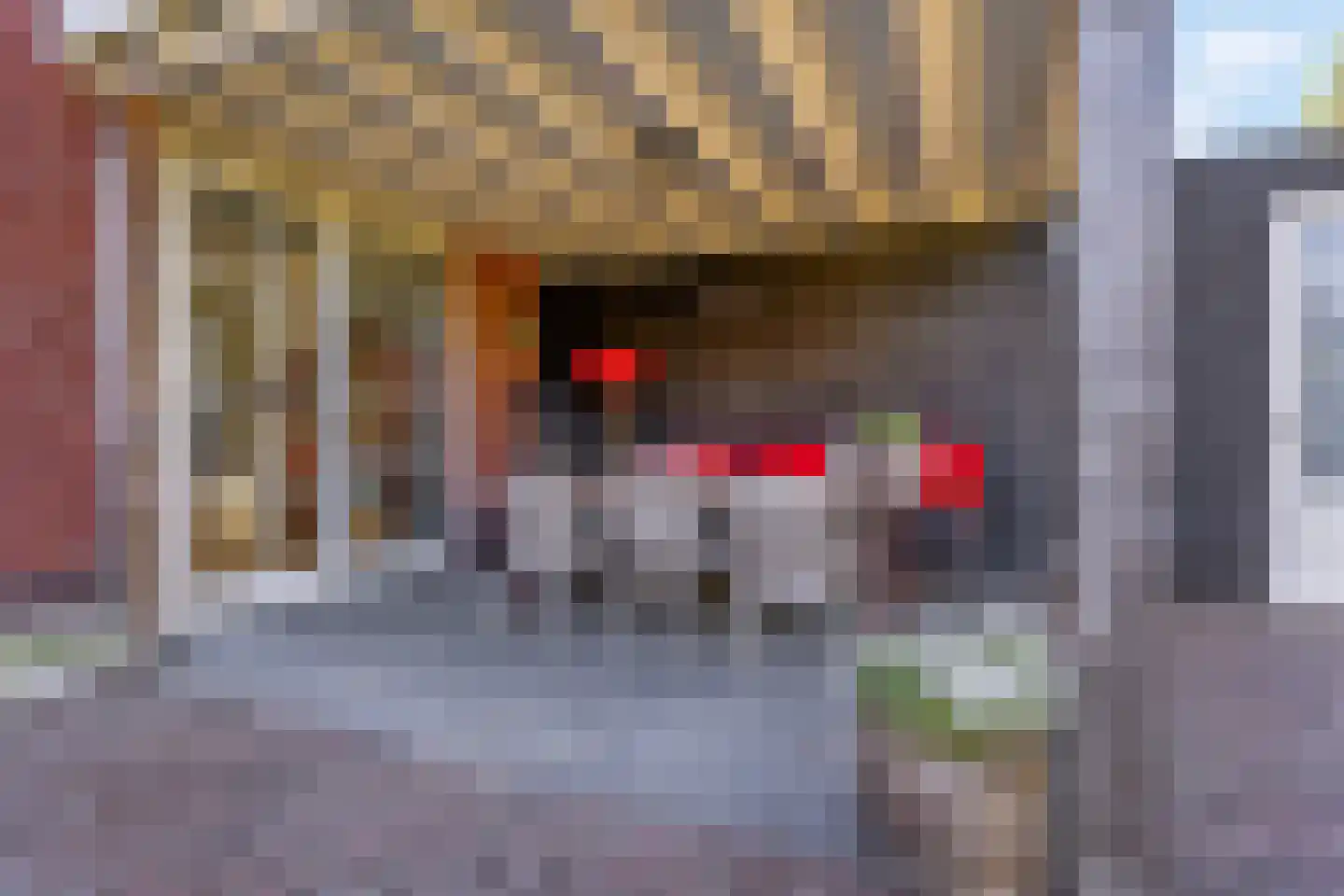 Didi Rooslaan 67 Ede thumbnail 40