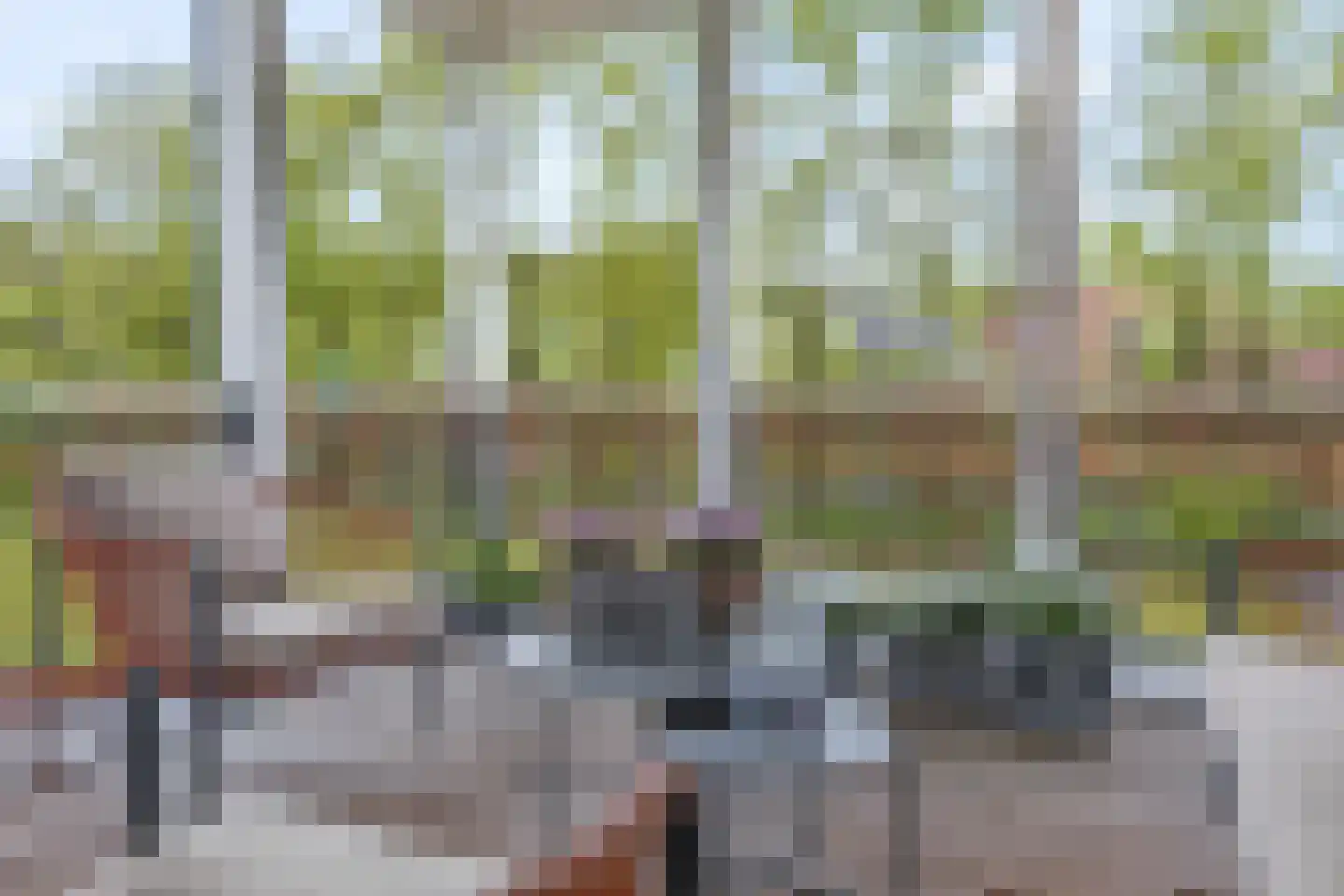 Didi Rooslaan 67 Ede thumbnail 48