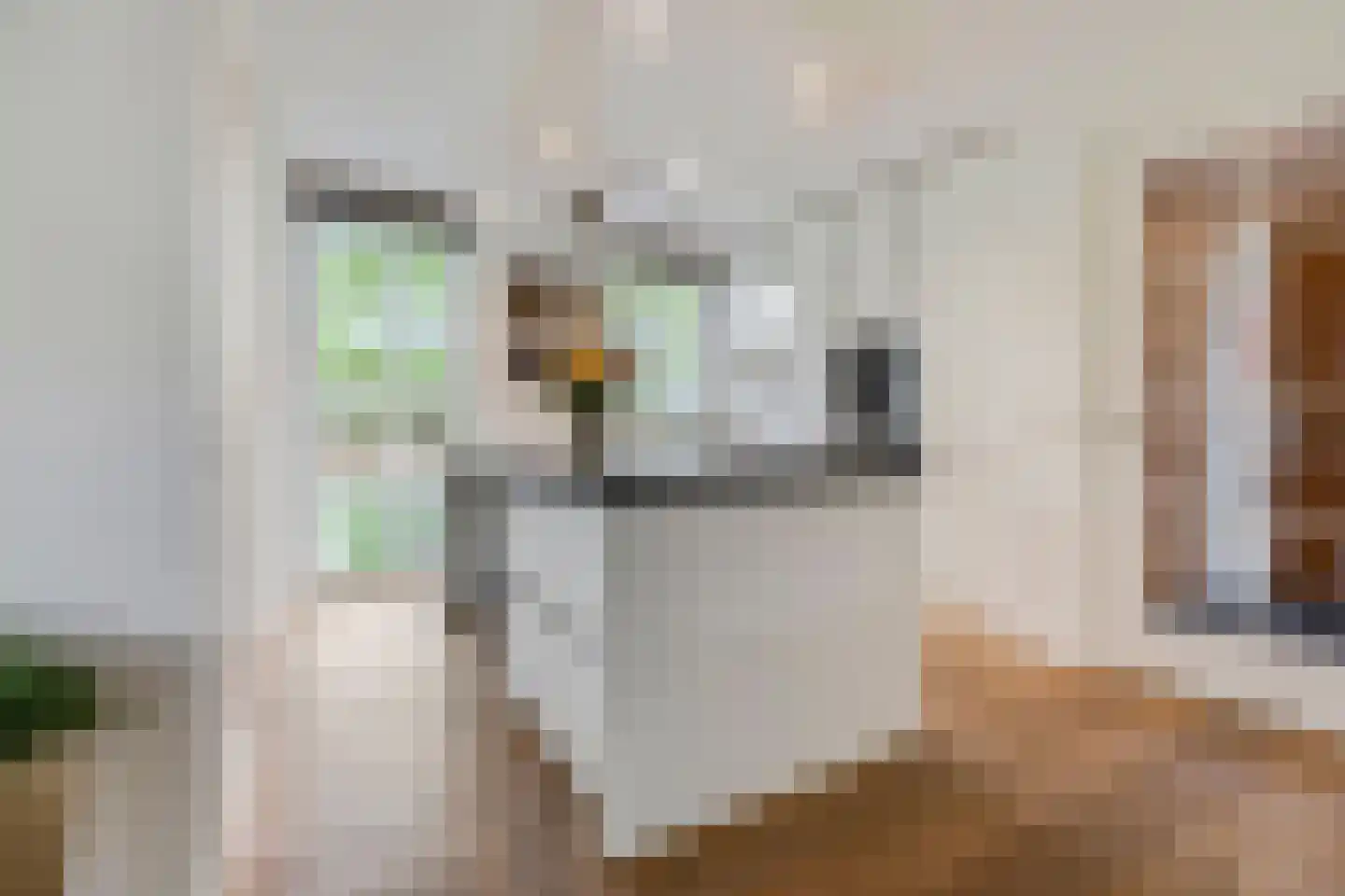 Didi Rooslaan 67 Ede thumbnail 6