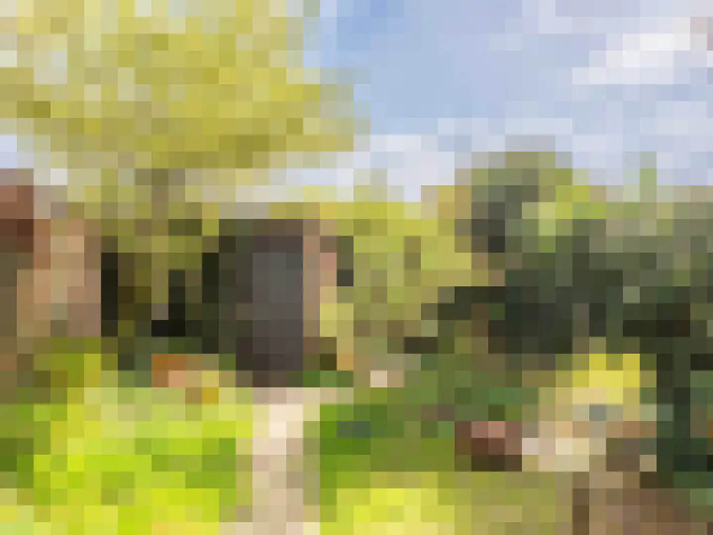 Die 6 Bergen (NH) thumbnail 27