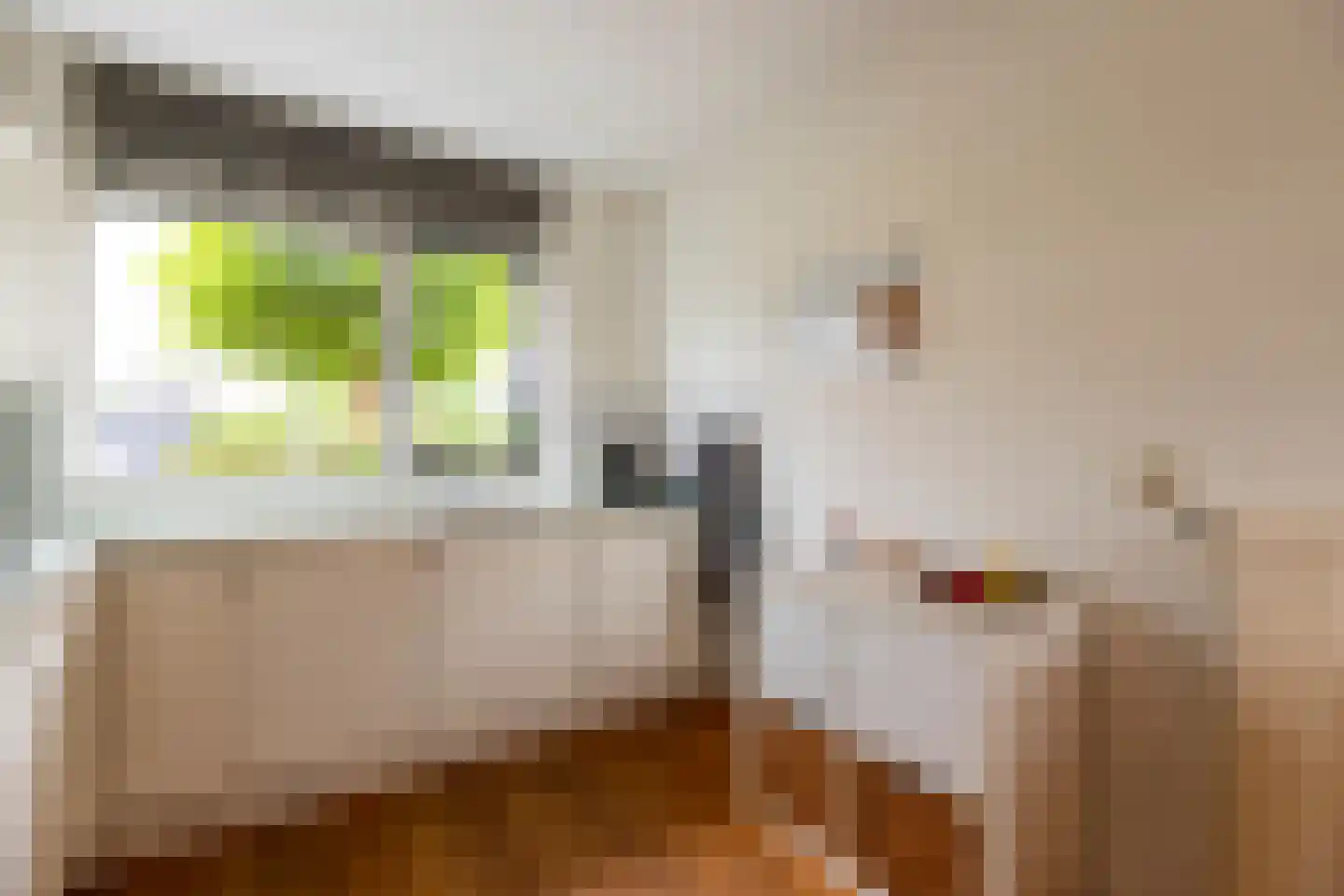 Die Haghe 8 Kerk-Avezaath thumbnail 19