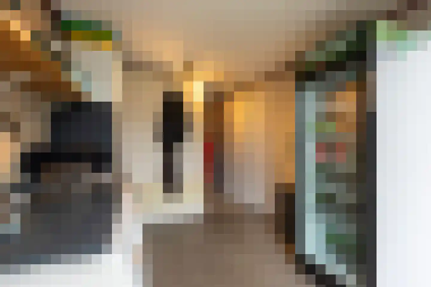 Die Haghe 8 Kerk-Avezaath thumbnail 30