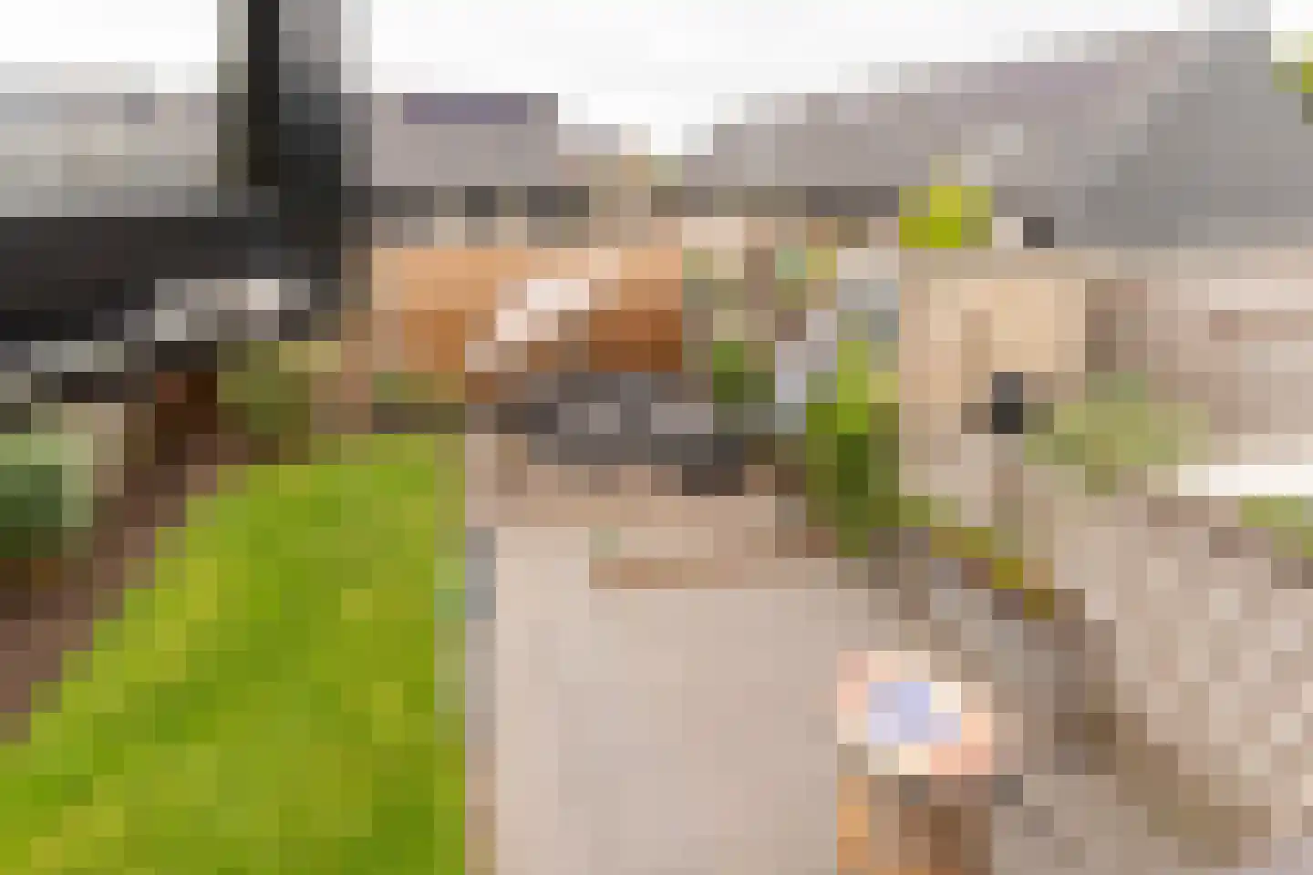 Die Haghe 8 Kerk-Avezaath thumbnail 34