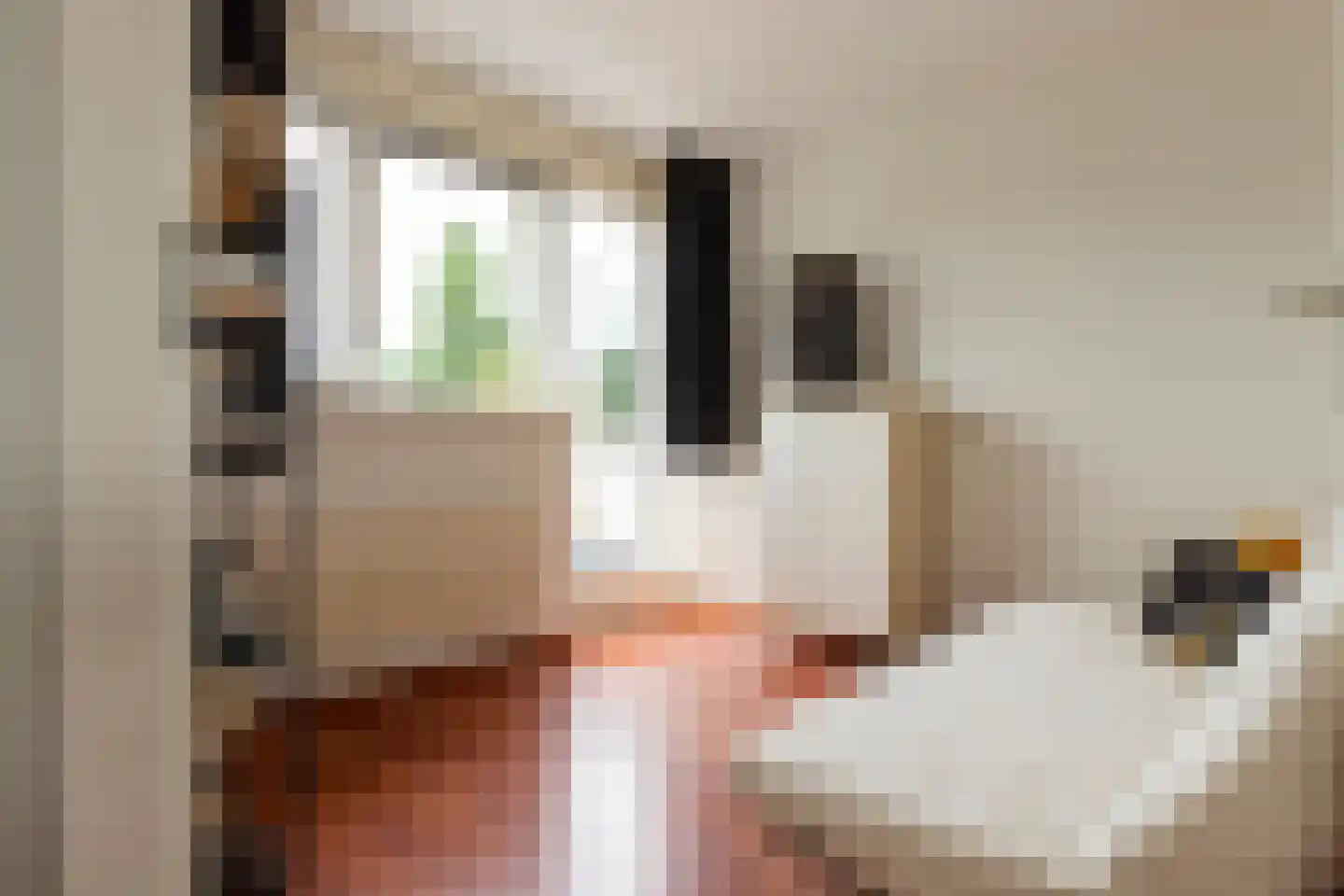 Die Haghe 8 Kerk-Avezaath thumbnail 38