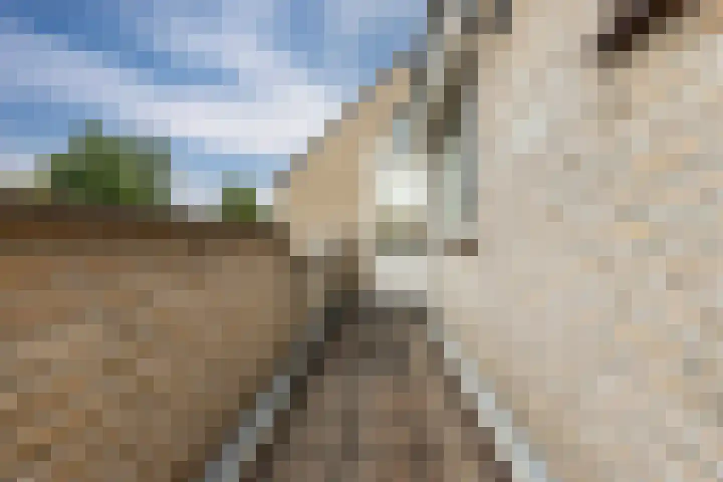 Die Haghe 8 Kerk-Avezaath thumbnail 41