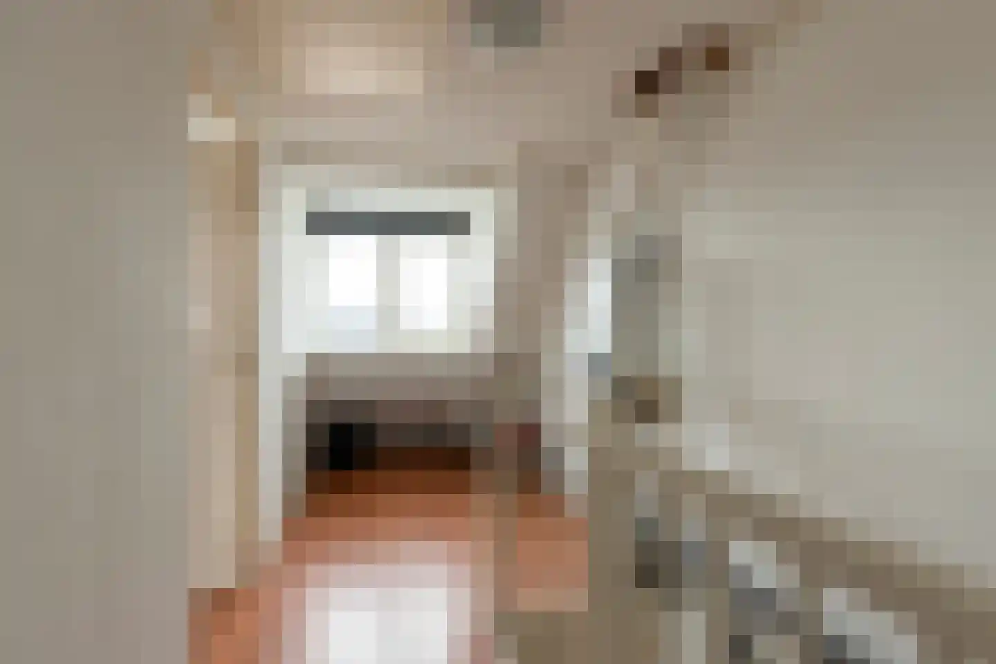 Die Haghe 8 Kerk-Avezaath thumbnail 48