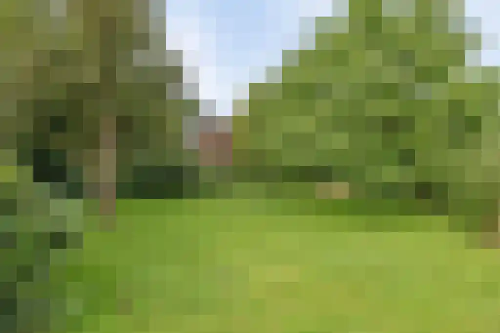 Dieckertsweg 4 Ambt Delden thumbnail 38