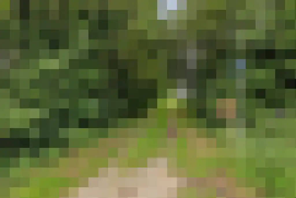 Dieckertsweg 4 Ambt Delden thumbnail 39