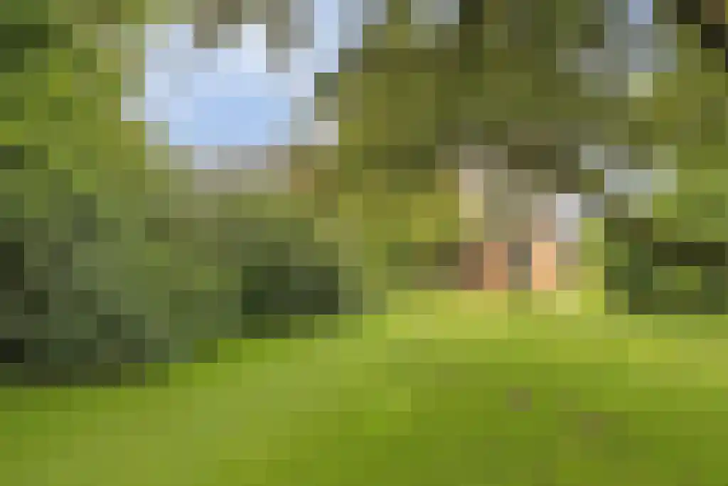 Dieckertsweg 4 Ambt Delden thumbnail 40