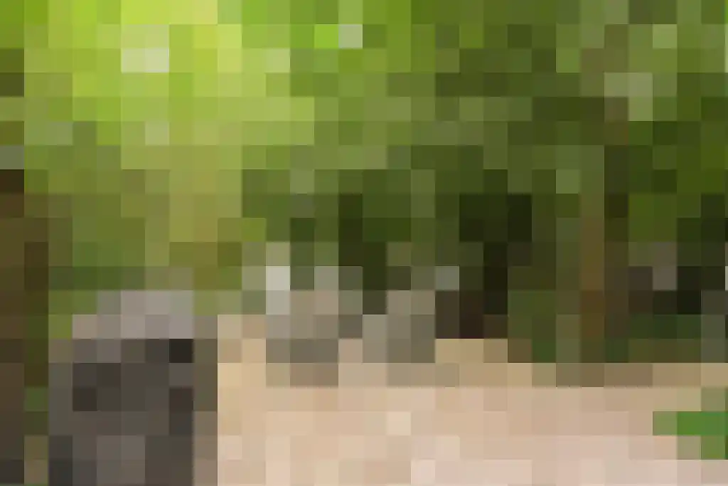 Dieckertsweg 4 Ambt Delden thumbnail 41