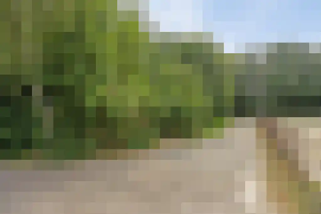 Dieckertsweg 4 Ambt Delden thumbnail 43