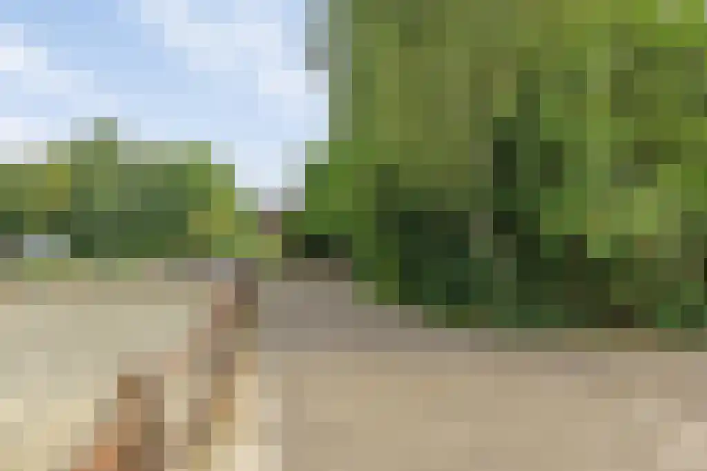 Dieckertsweg 4 Ambt Delden thumbnail 46