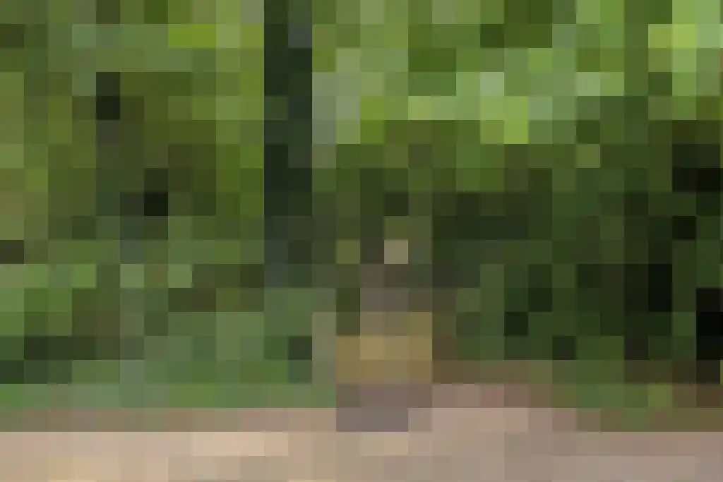 Dieckertsweg 4 Ambt Delden thumbnail 51