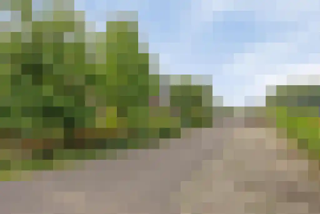 Dieckertsweg 4 Ambt Delden thumbnail 59